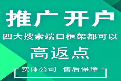 SEM托管公司案例：业绩提升之道